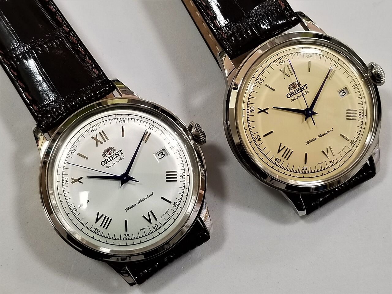 コスパ抜群 オリエント バンビーノ タイムズギア みのおキューズモール店のスタッフブログ