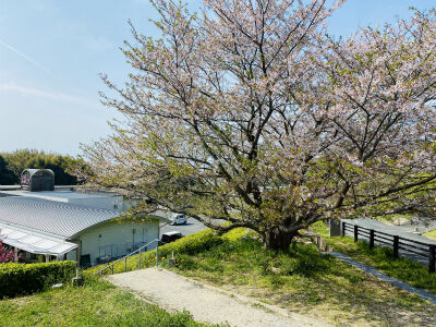 sIMG_3743