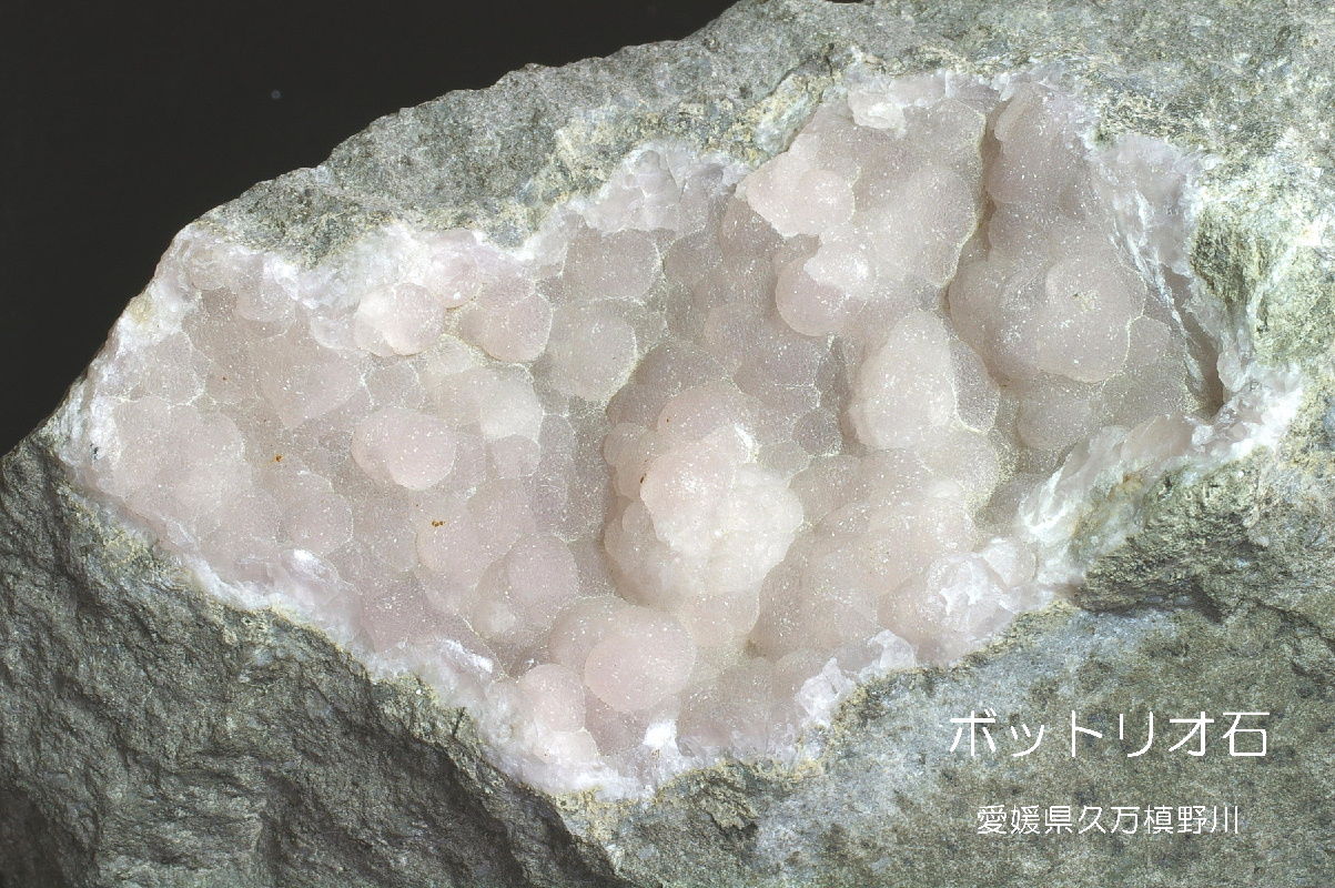 国産鉱物 愛媛県槙野川 ボトリオ石 / ダトー石