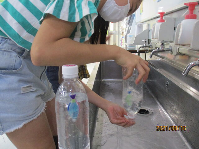 ふしぎな金魚 東郷町西部児童館のblog