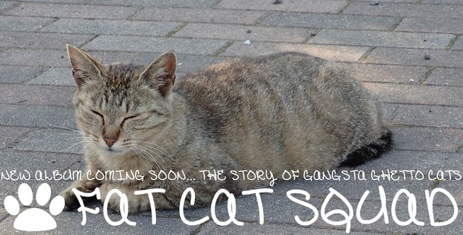FAT CAT SQUAD バナー小