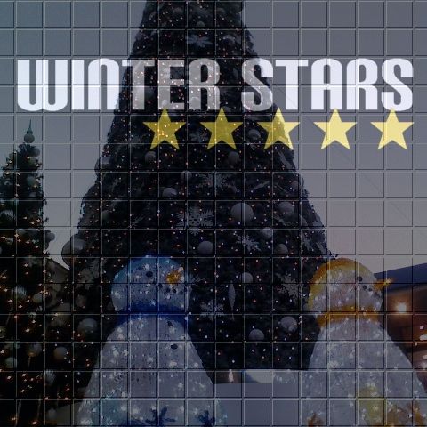 winter stars