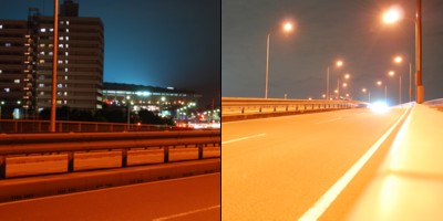 sabotage / aluminum xmas trees