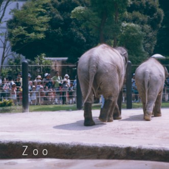 3rd album ZOO 10/27 on sale!