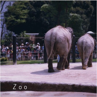 ZOO