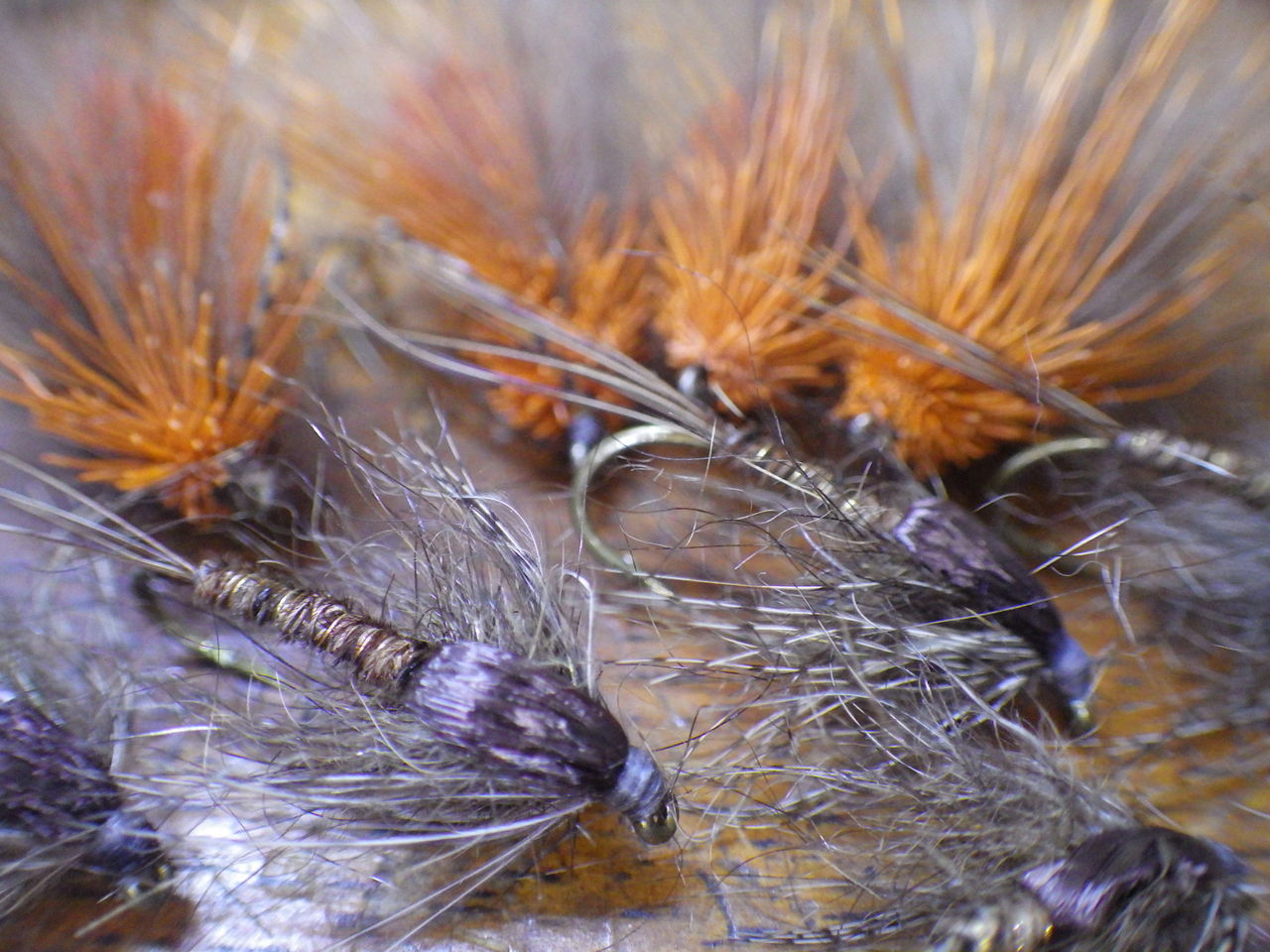 タイイング Trutta店長日記