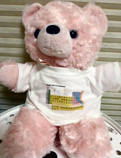 TeddyBear2