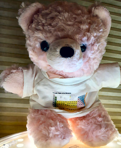 TeddyBear4