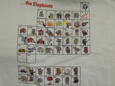 elephant4