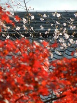 ���ȹ���2