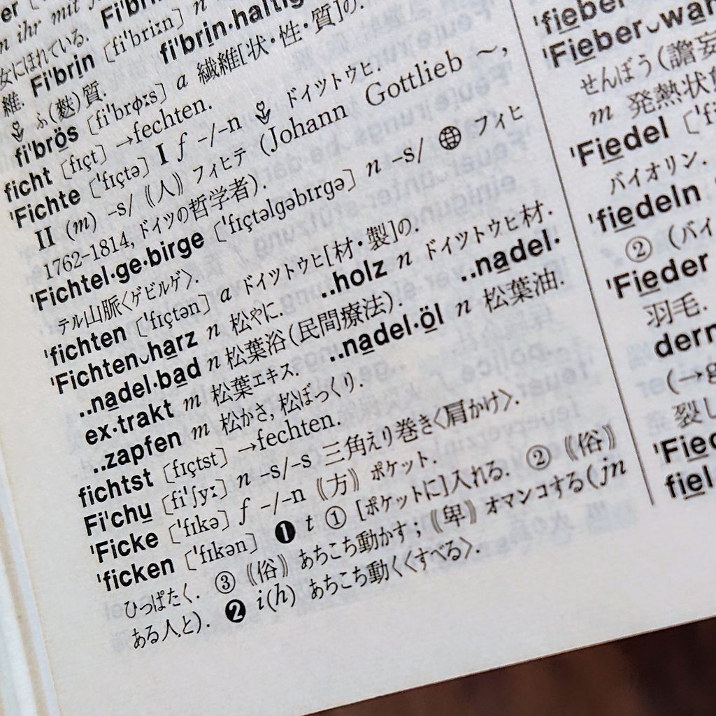 オマンコするはドイツ語でfickenです タイで思う