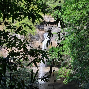 カオヤイ国立公園 2