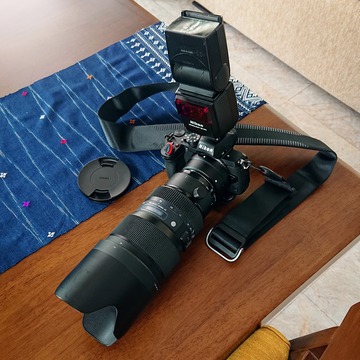 Z50+ SIGMA 50-100mm F1.8 DC HSM