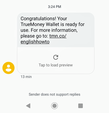 True Money Wallet 4