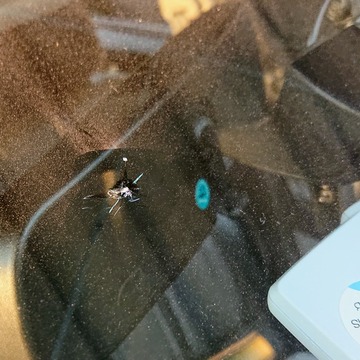 フロントガラスに飛び石