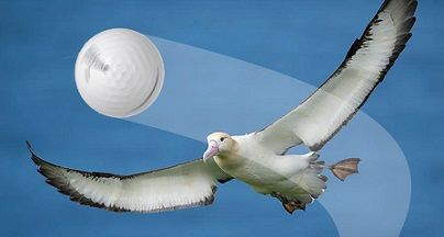 アルバトロスCT