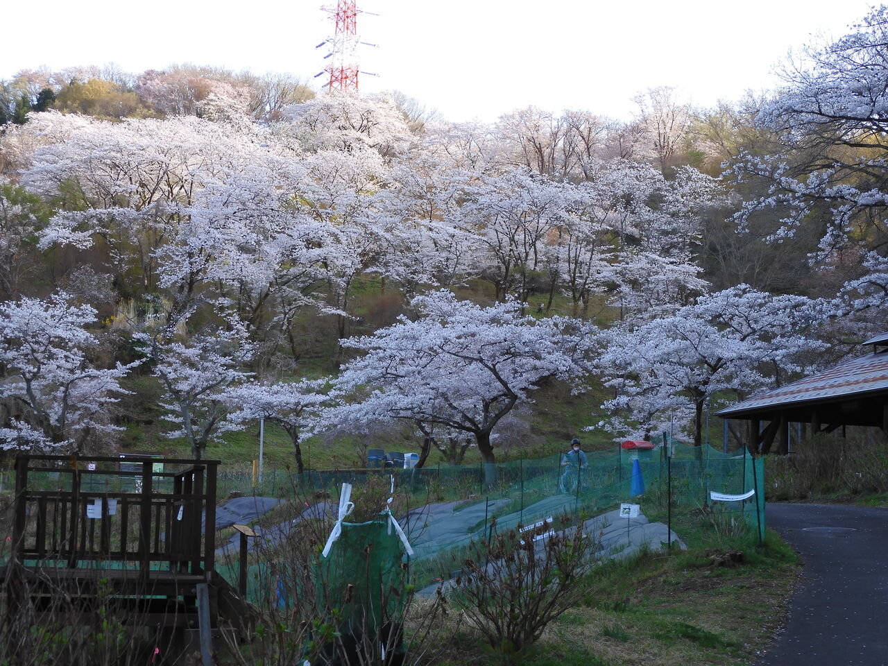 DSCN0091