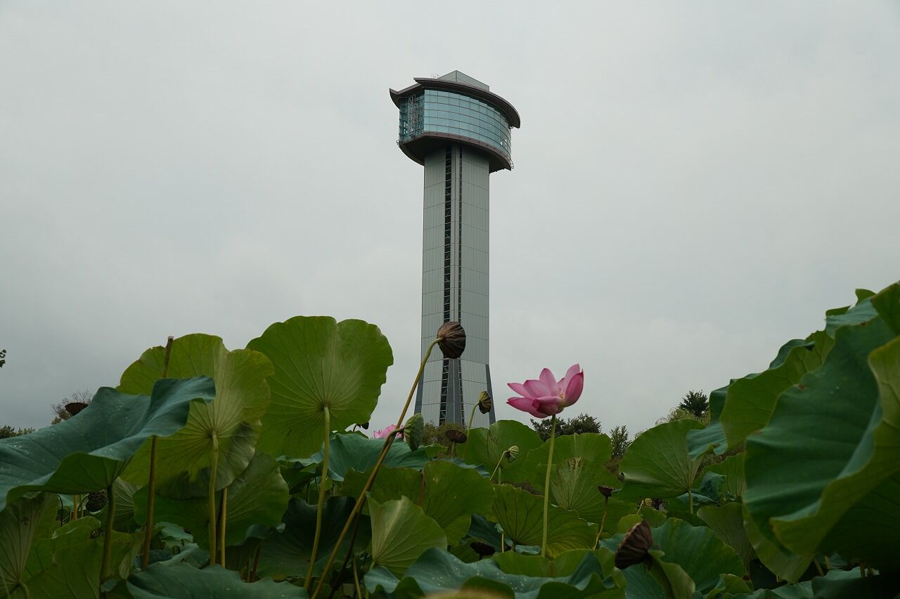 DSC02485