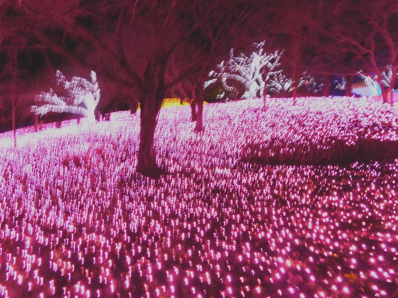 DSCN0007