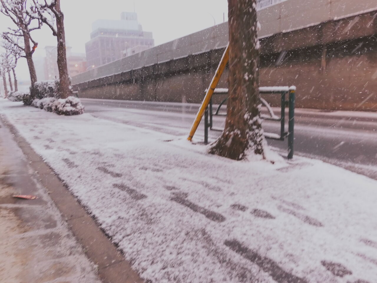 DSCN0045