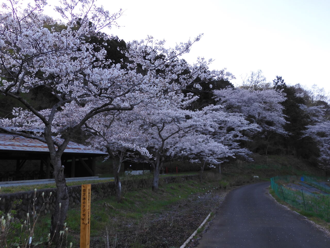 DSCN0085