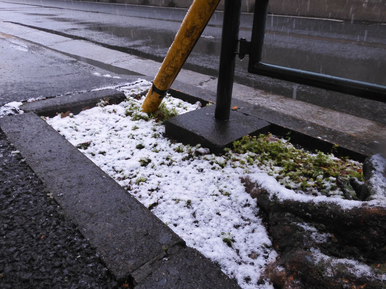 DSCN0099