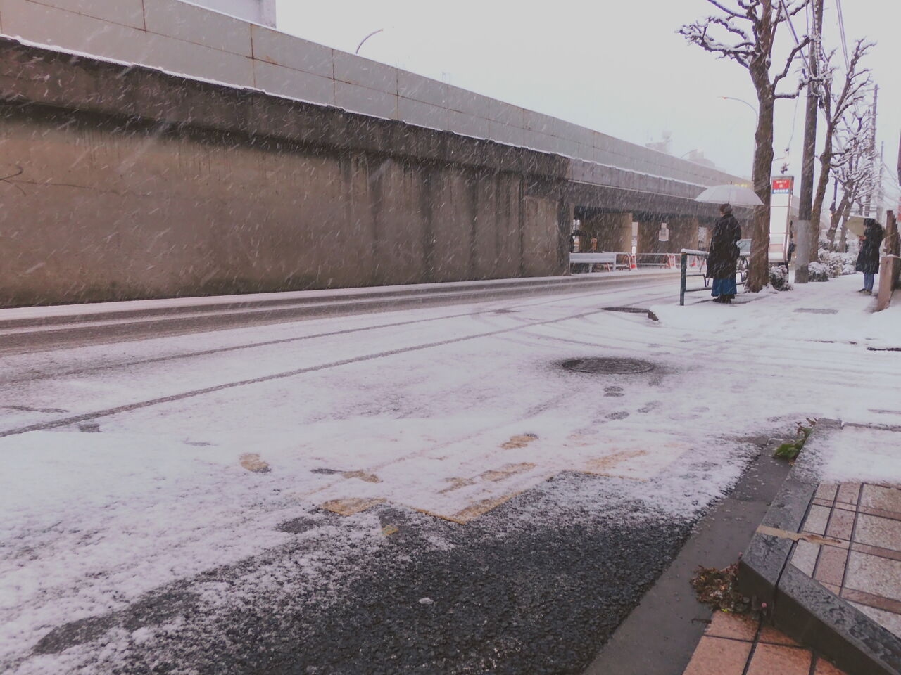DSCN0046