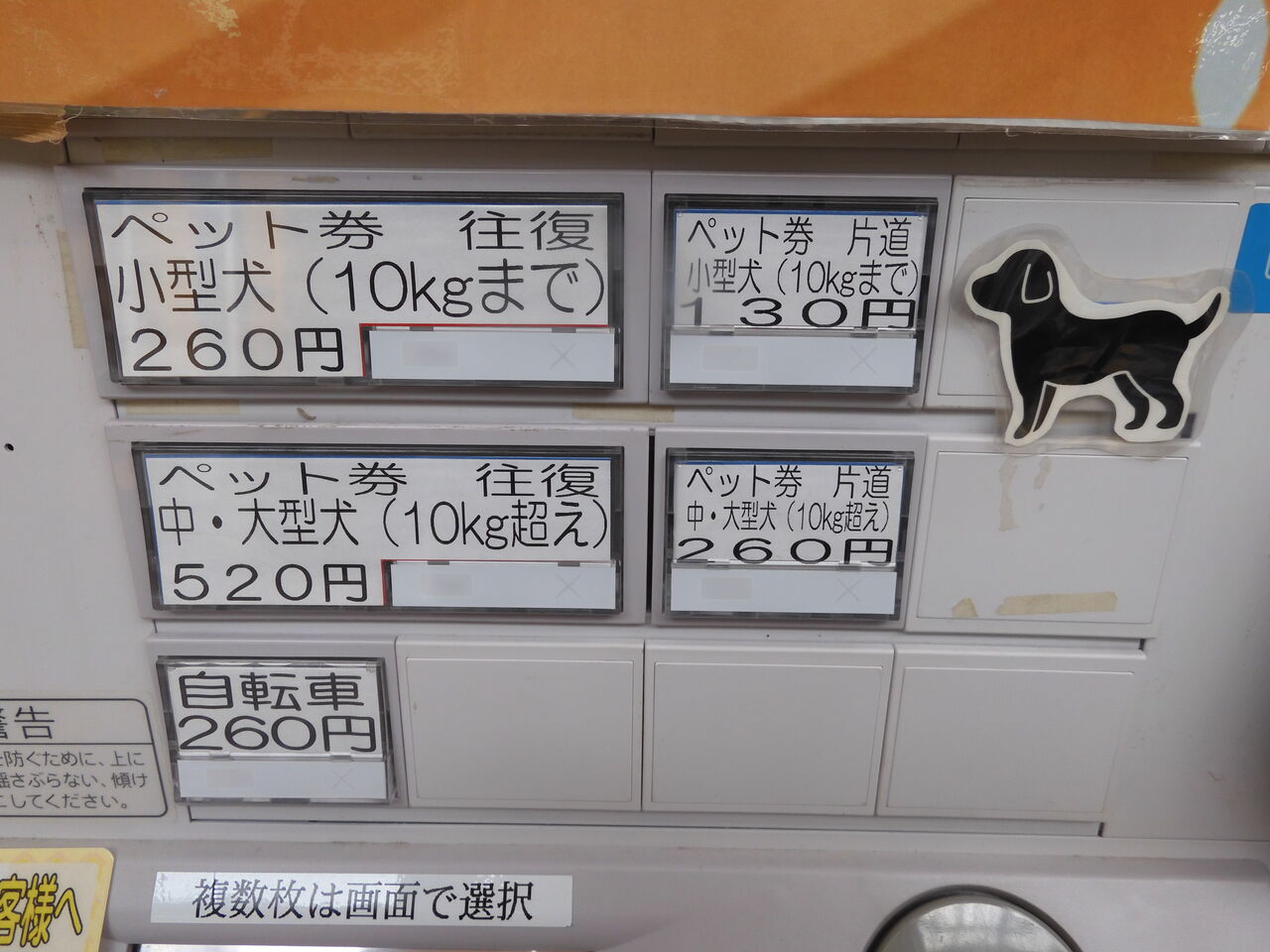 DSCN0170