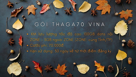 goi-thaga70-vina