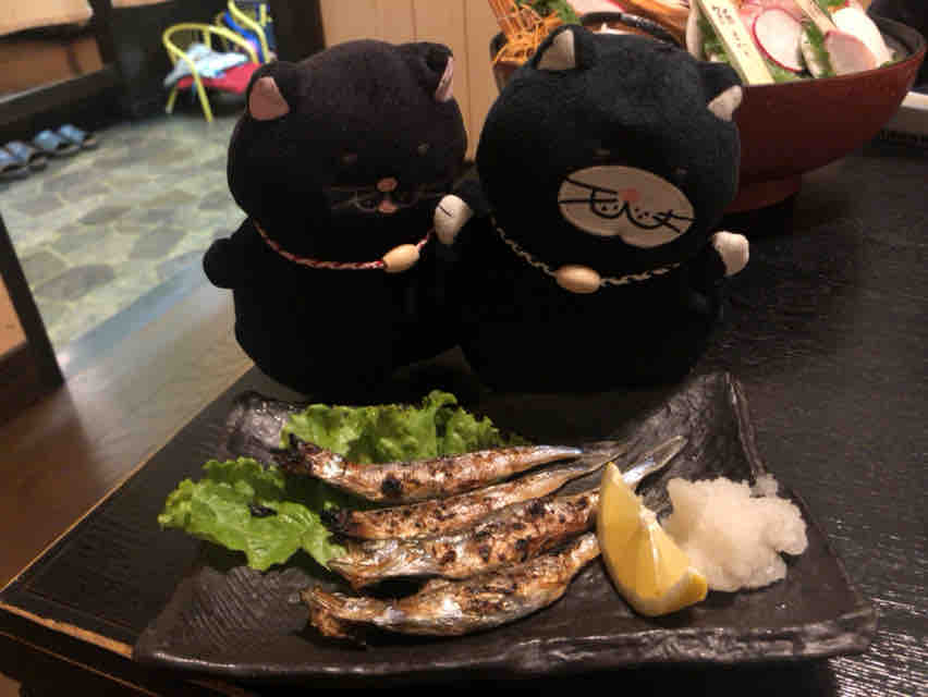 クロは 週末は炉端焼き 炉ばた焼としね でぶねこ クロの一言blog