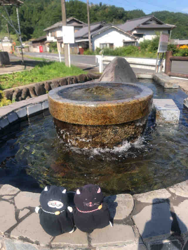 クロは 名水を飲む 竹田湧水群 でぶねこ クロの一言blog
