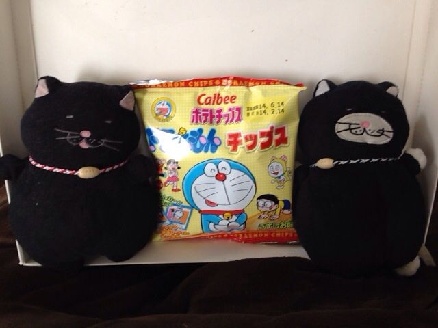 クロは 金曜日にはドラえもん でぶねこ クロの一言blog クロは 金曜日にはドラえもん でぶねこ クロの一言blog