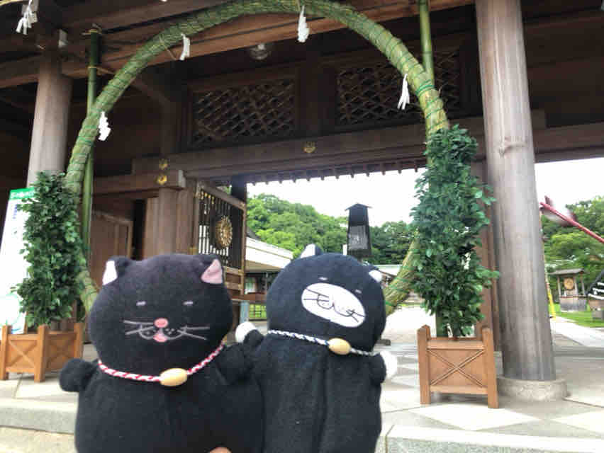 クロは 夏越の大祓 縣護国神社 でぶねこ クロの一言blog クロは 夏越の大祓 縣護国神社 でぶねこ クロの一言blog
