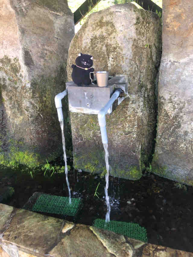クロは 名水を飲む 竹田湧水群 でぶねこ クロの一言blog