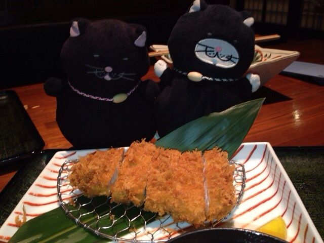 クロは 金曜だから 金の豚 でぶねこ クロの一言blog クロは 金曜だから 金の豚 でぶねこ クロの一言blog