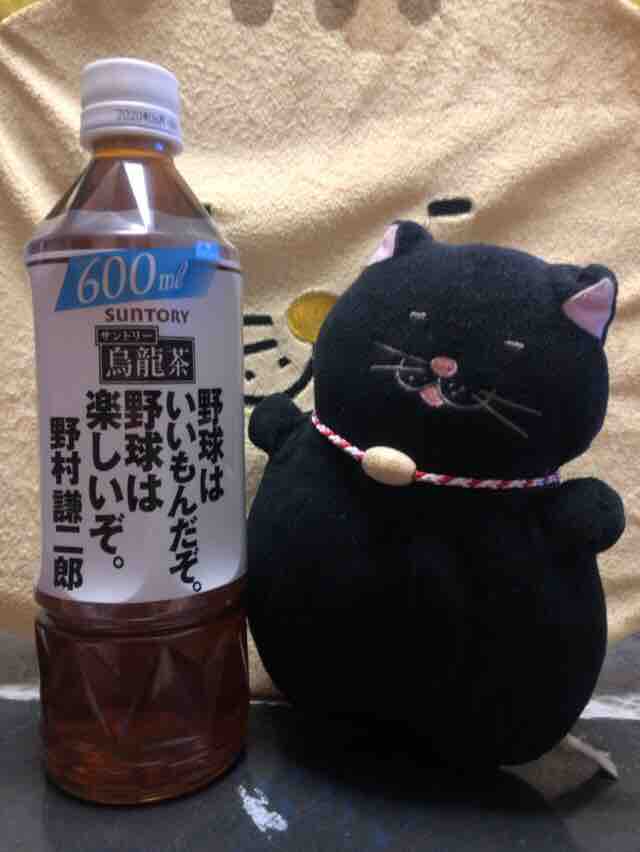 クロは 烏龍茶を飲んでカープを応援 でぶねこ クロの一言blog