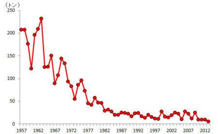 シラスウナギ 昨シーズンの7倍 原因不明 夏以降安く