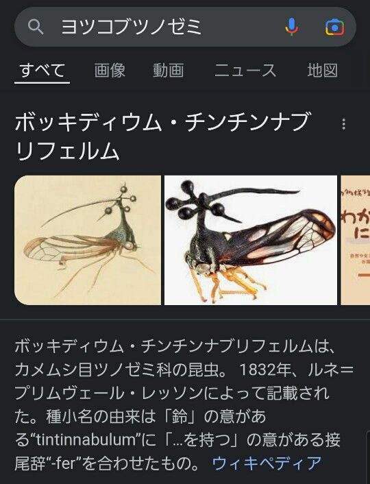 【画像】ふざけた名前をつけられた可哀想な虫さん、発見される