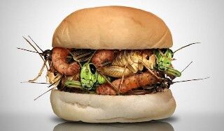 農業に革命起こる。新材料「ノビテク」で収穫量が大幅に伸びるｗｗｗｗｗ