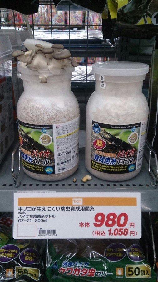 画像でフフッてなったら寝ろwwwwwwwwwwwwwwwwwwwwwww