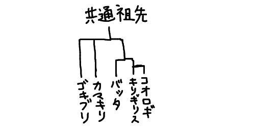 陽キャなカマキリ達見つかるｗｗｗｗｗ 雑ニュース