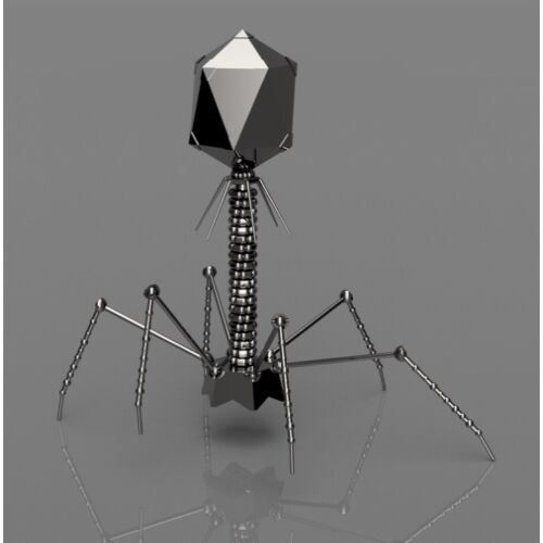 クモがクモの巣の作り方知ってる理由wwwwwwwww
