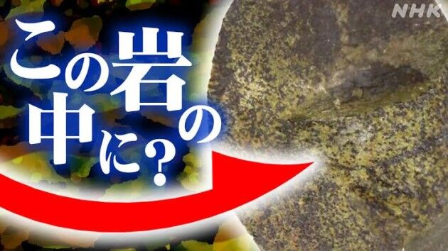 20億年前の地層から地球最古の微生物を生きていると見られる状態で採取に成功