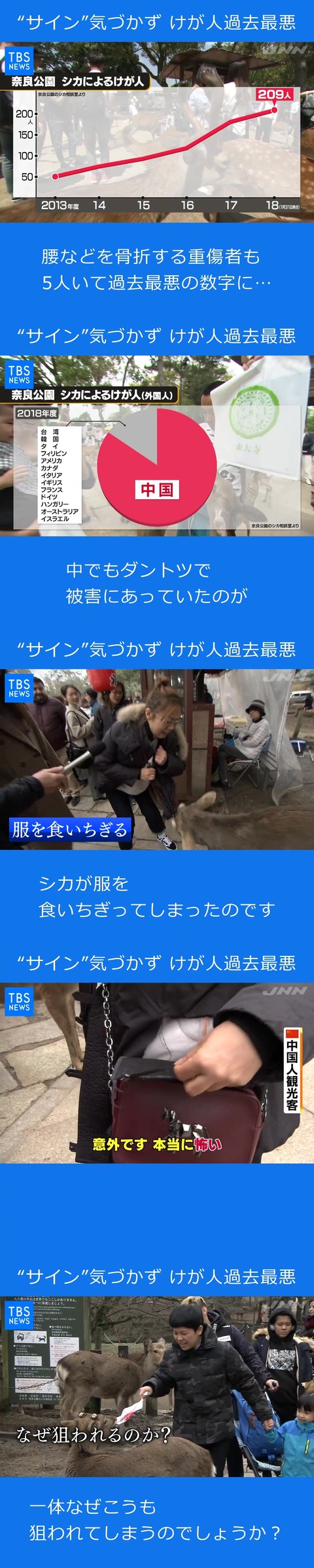 神奈川新聞の石橋学氏、奈良公園へ取材に行った結果 鹿への暴行が行われている事を確認する