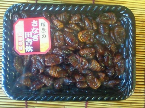 昆虫食を嫌う人の多くが虫関連の食品を食べているという衝撃の事実、ご覧ください・・・