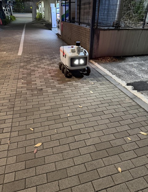 【画像】散歩してたらロボットが居た