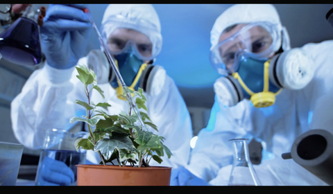 「マスクして打ち合わせ」でも職場感染。大阪変異株、通常コロナの｢千倍｣のウイルス排出量と判明