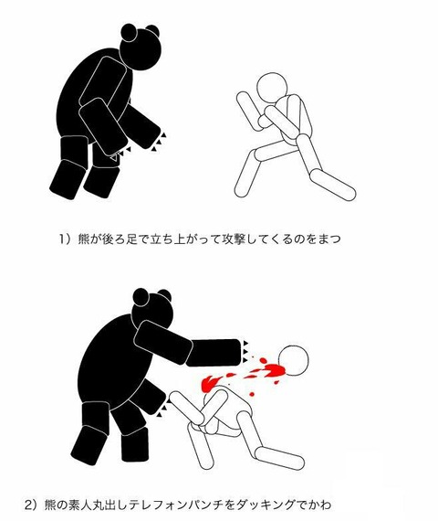 アメリカ人の6%は「素手でクマに勝てる」と思っている