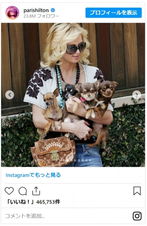 アメリカのセレブに飼育されていた原宿ビッチが23歳で死去