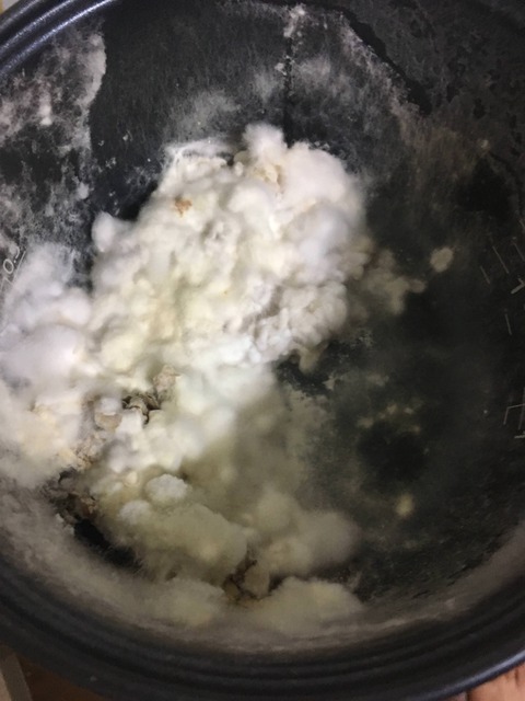 【画像】俺氏、炊飯器にご飯を残したまま帰省。1ヶ月。【悲報】
